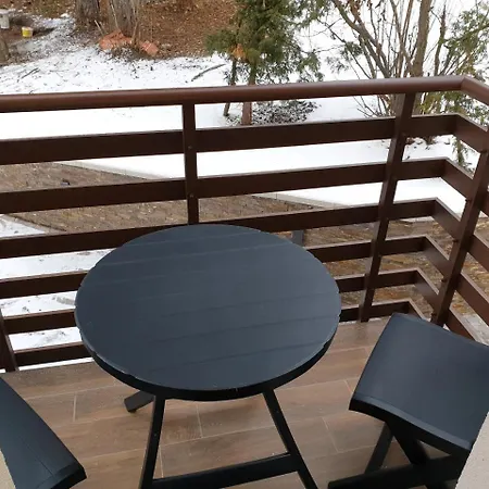 Bear's Eye View Apartment *