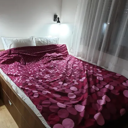 Bear's Eye View Zlatibor