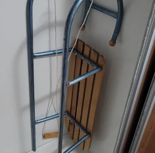 Bear's Eye View Zlatibor