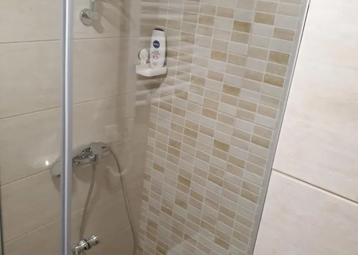 Bear's Eye View * Zlatibor