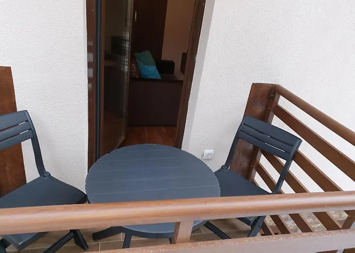 Bear's Eye View * Zlatibor