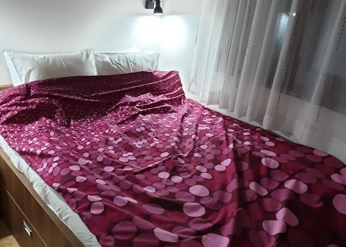 Bear's Eye View Zlatibor